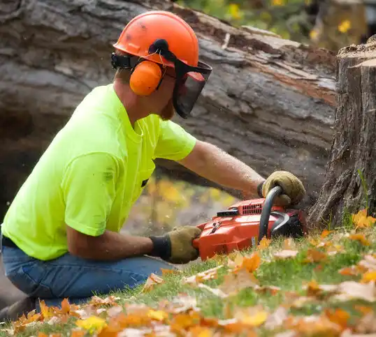 tree services Garyville